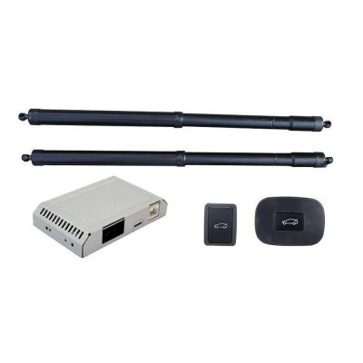 Sistem de ridicare și închidere portbagaj automat din buton și cheie Nissan PALADIN  2023-