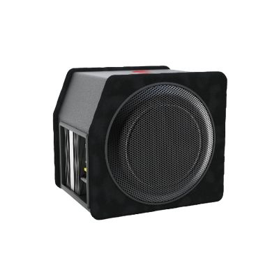 Subwoofer RESIGILAT auto activ Nakamichi, 10 inch, 100 W RMS, 1000 W max
